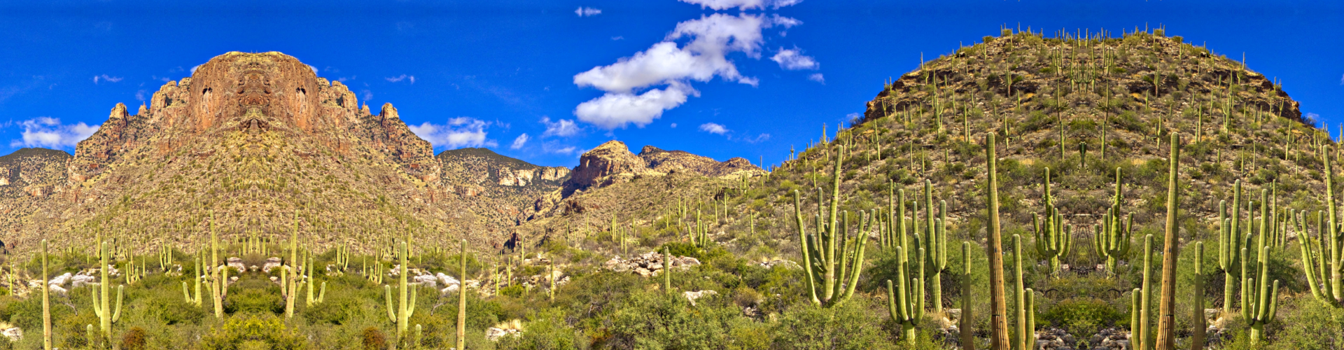 Finger Rock Canyon near Tucson.